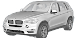 BMW F15 P207A Fault Code